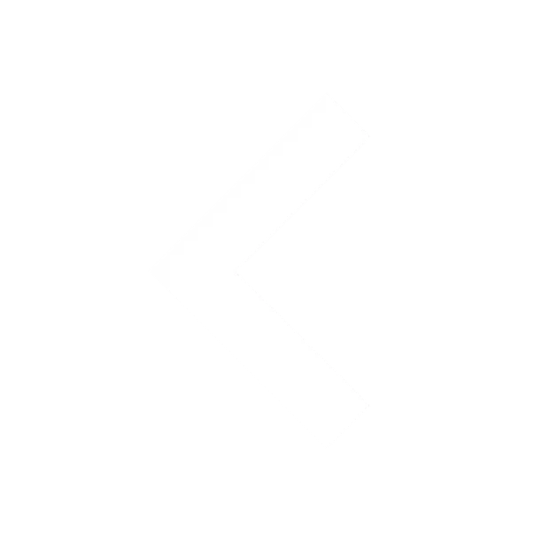 back-icon